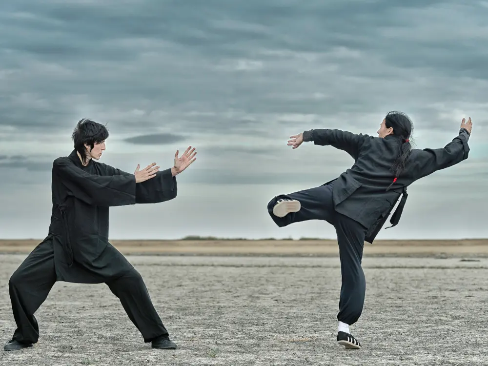 Kung Fu - Martial Art Type